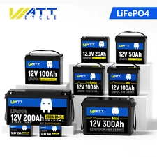12V 100Ah 314Ah LiFePO4 Lithium Battery Low-Temp Smart BMS For RV Off-Grid Solar