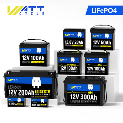 12V 24V 48V 100/200/300Ah LiFePO4 Akku Lithium Batterie BMS Off-Grid Boot Camper