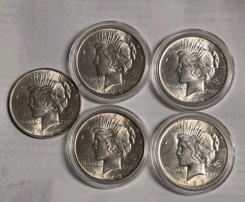 5 BU Peace Silver Dollars
