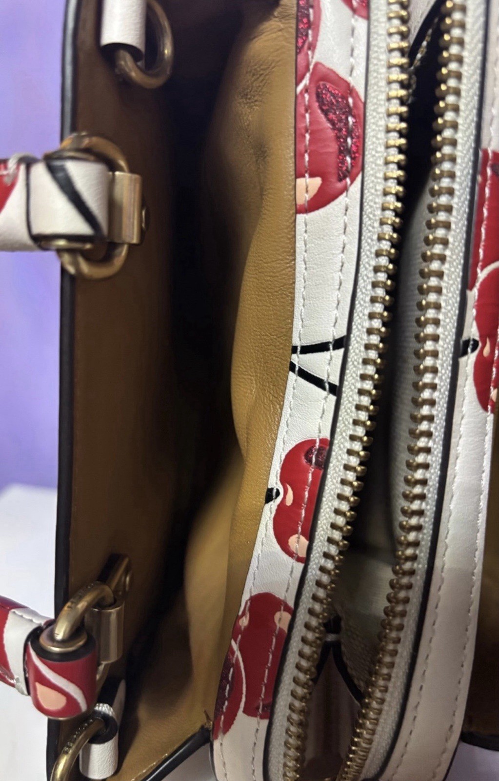 Coach Rogue 17 With Cherry Print image 7