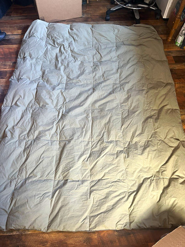 Sage Down Duvet Insert 60 x 90 in, 1-Piece Set Includes Duvet Insert