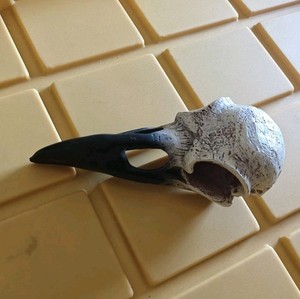 Aquarium Skull Decor - RAVEN Skull.