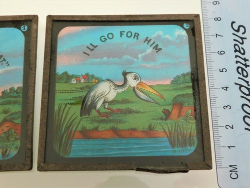 Set Antique Glass Illustrated Comic Magic Lantern Slides Foolish Bird & Hedgehog - Bild 9 von 12
