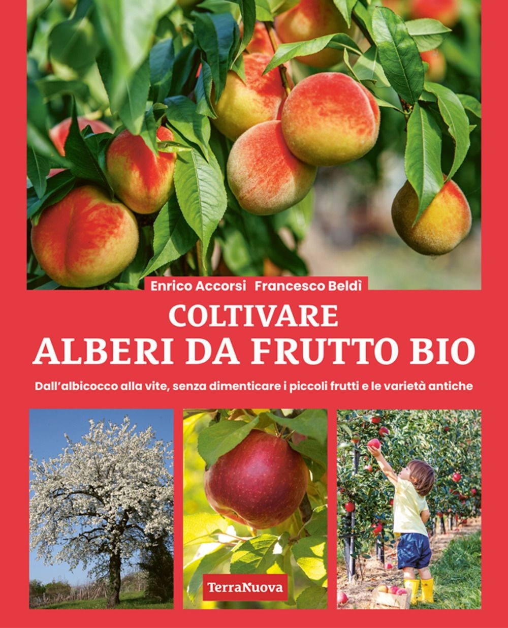 Libri Enrico Accorsi / Francesco Beldì - Coltivare Alberi Da Frutto Bio. Dall'al