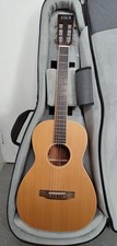 Auden Emily Rose Neo acoustic guitar
