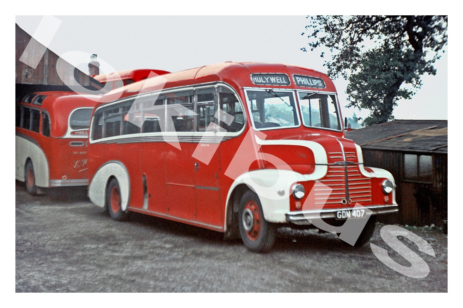 Bus Photograph PHILLIPS Holywell GDM 407 eBay
