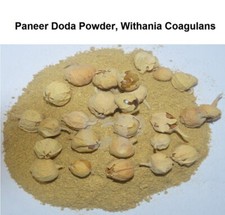 Rennet Paneer Doda Powder Withania Coagulans Paneer Phool Booti 100gm 3.5 OZ .