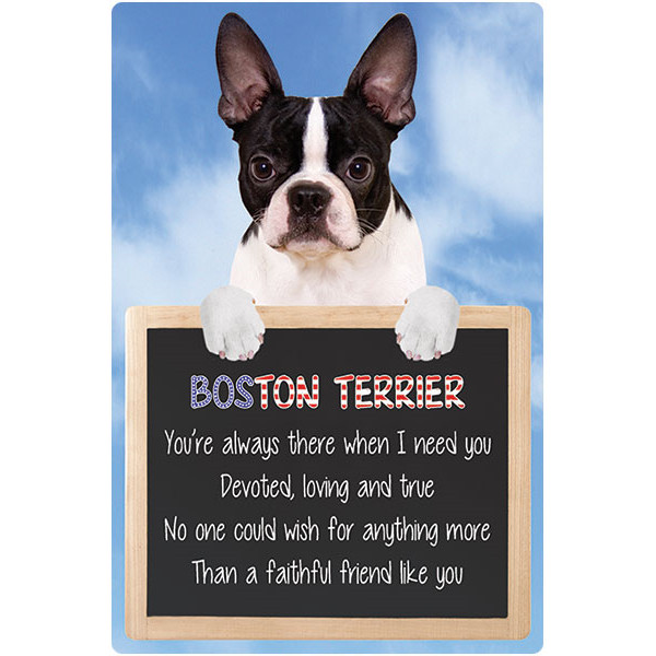 Boston Terrier dog BOSTON TERRIERS sign faithful friend dog quote wall hanging