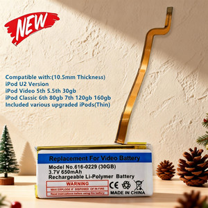 iPod Battery Replacement 30GB | eBay