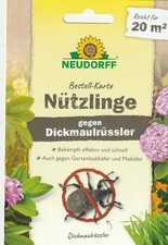 Neudorff Bestell-Karte Nützlinge gegen Dickmaulrüssler für 20 m²