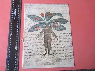 EIN NEUES GRIECHISCHES HERBARIUM VON DIOSCORIDES - ELPIDIO MIONI -