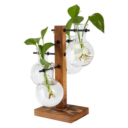 Plant Terrariums Kit Desktop Hydroponics Air Planter Holder With 4 Bulb Beaker G - Picture 2 of 6
