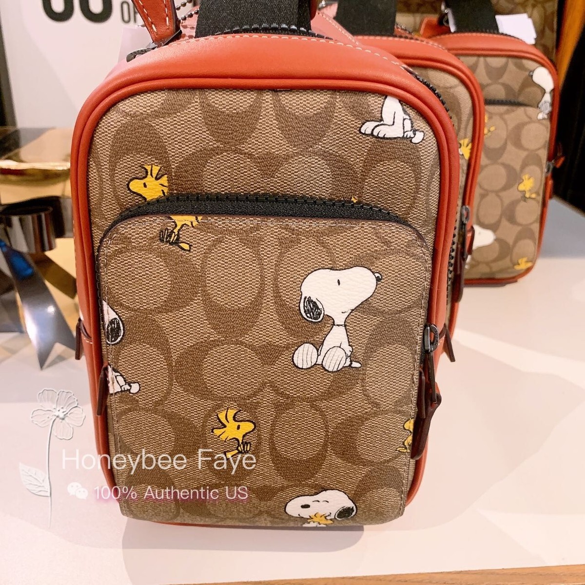SundayMac COACH x PEANUTS チャーリー・ブラウン COACH X PEANUTS】チャーリー・ブラウン シグネチャー スクエア