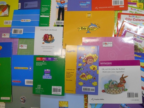 Riesiges Set 167 Kinderbücher gelevelte Leser Klasse 1 Belletristik Sachbücher Phonetik - Bild 17 von 18