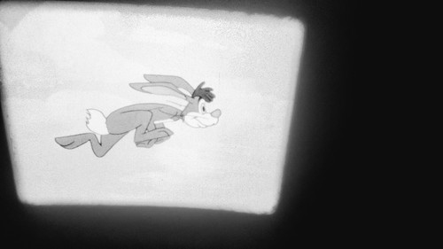 Them's My Boys - 16mm film black & white sound - Bucky and Pepito cartoon - Picture 5 of 13
