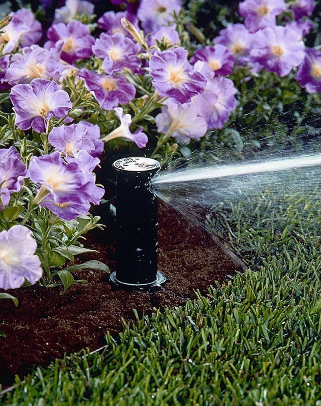 Rain Bird 42SA+ Gear Drive Rotor Water Sprinkler Lawn 26 38' Pop Up