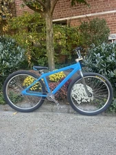 *RARE* 2018 Big Ripper (Disc Break Conversion)