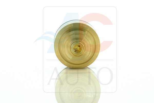 Fits AC AUTO AC-02SC01 CONTROL VALVE OF A/C COMPRESSOR