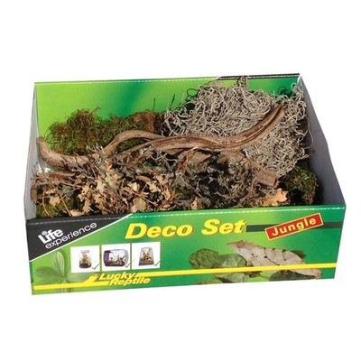 Lucky Reptile Terrarium Dekoset
