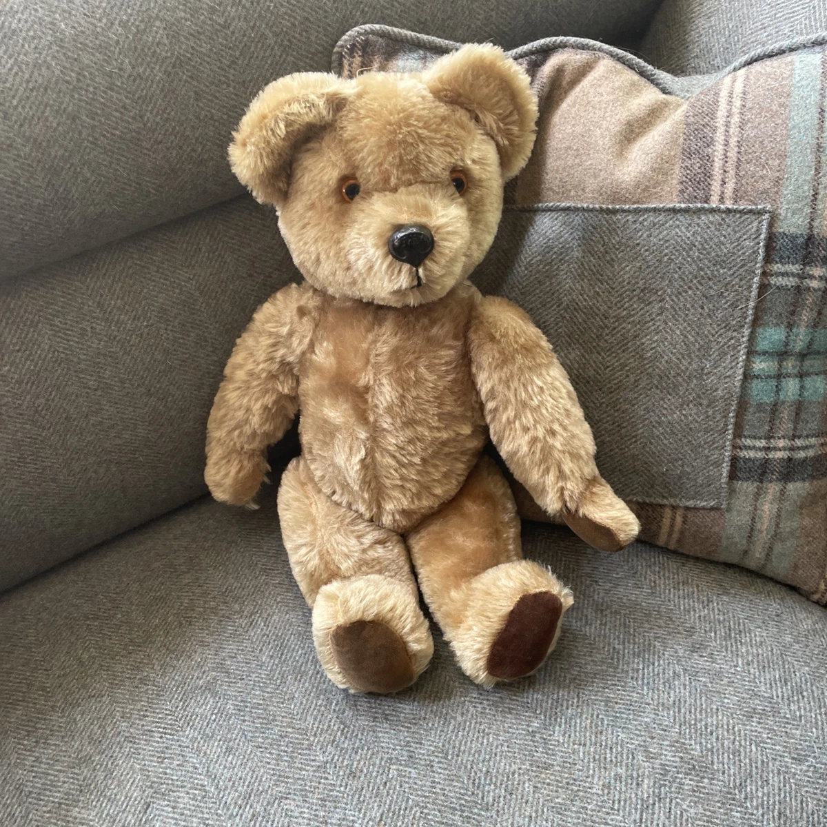 Pedigree Bear for sale | eBay UK