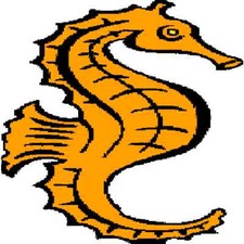 30 Custom Orange Sea Horse Personalized Address Labels