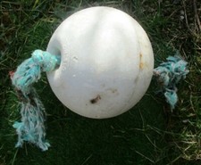 Lobster Crab Pot Buoy 8 Inch Diameter Marine Nautical Home Decor Arts & Crafts