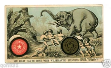 Victorian Trade Card WILLIMANTIC  Six Cord Thread capturing an elephant 