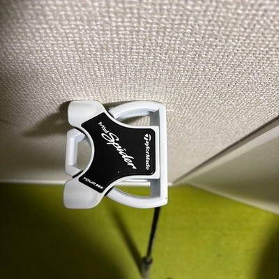 TaylorMade MYSpider Putter White / Black | eBay
