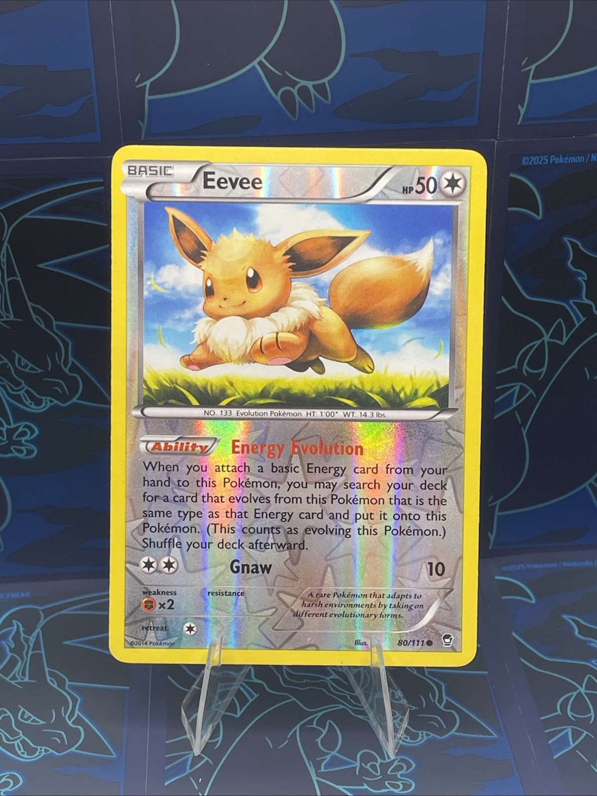 Eevee 80/111 XY - Furious Fists Reverse Holo