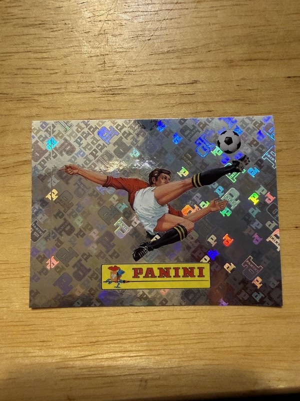 Panini FIFA Soccer Sports Trading Card #00 Hologram Single Card