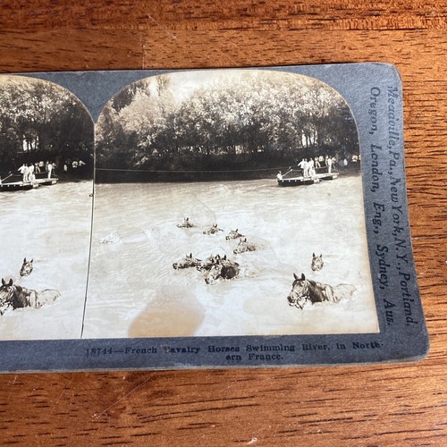 Tarjeta Keystone Primera Guerra Mundial Stereoview caballos de caballería franceses nadando en río Francia - Imagen 3 de 6