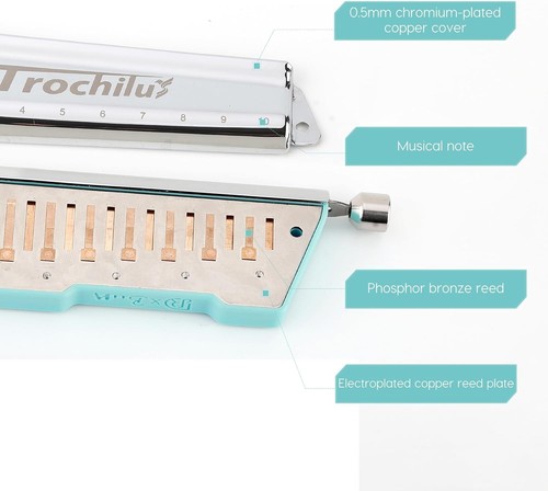 Lightweight Blues Tuning Harmonica Key of C with Decorative Case - 4.5 oz - Picture 7 of 8