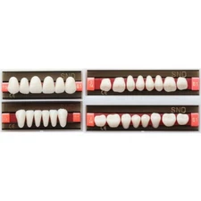 B1 Shade Dental Synthetic Acrylic Resin False Denture U/L Fake Teeth Whitening