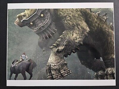 Shadow of the Colossus - PlayStation 2, PlayStation 2