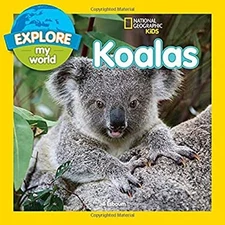 Explore My World: Koalas Paperback Jill Esbaum