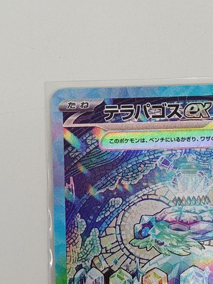 Pokemon Terapagos Ex 130/102 Sar Card | eBay