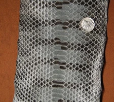 2 (two) Genuine unique  Black & Grey Tiger Snake Skin Leather Hide  MDxn-z