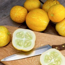 Lemon Cucumber, Slicing (Cucumis sativus) Vegetable Seeds, Fast Maturity