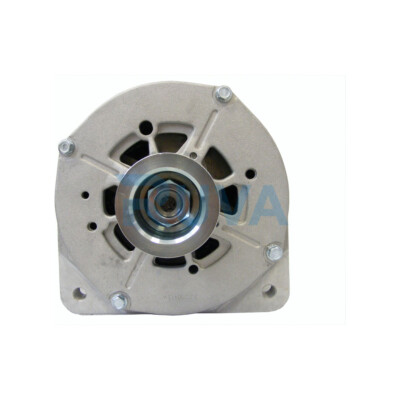 Ruva Alternator Fits Renault Megane Scenic Espace Grand Scenic 2.0 1.9 dCi 2.2 D
