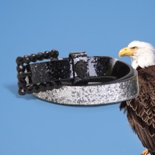 Kurt Geiger Size Medium belt metallic silver black rhinestone buckle eagle 88
