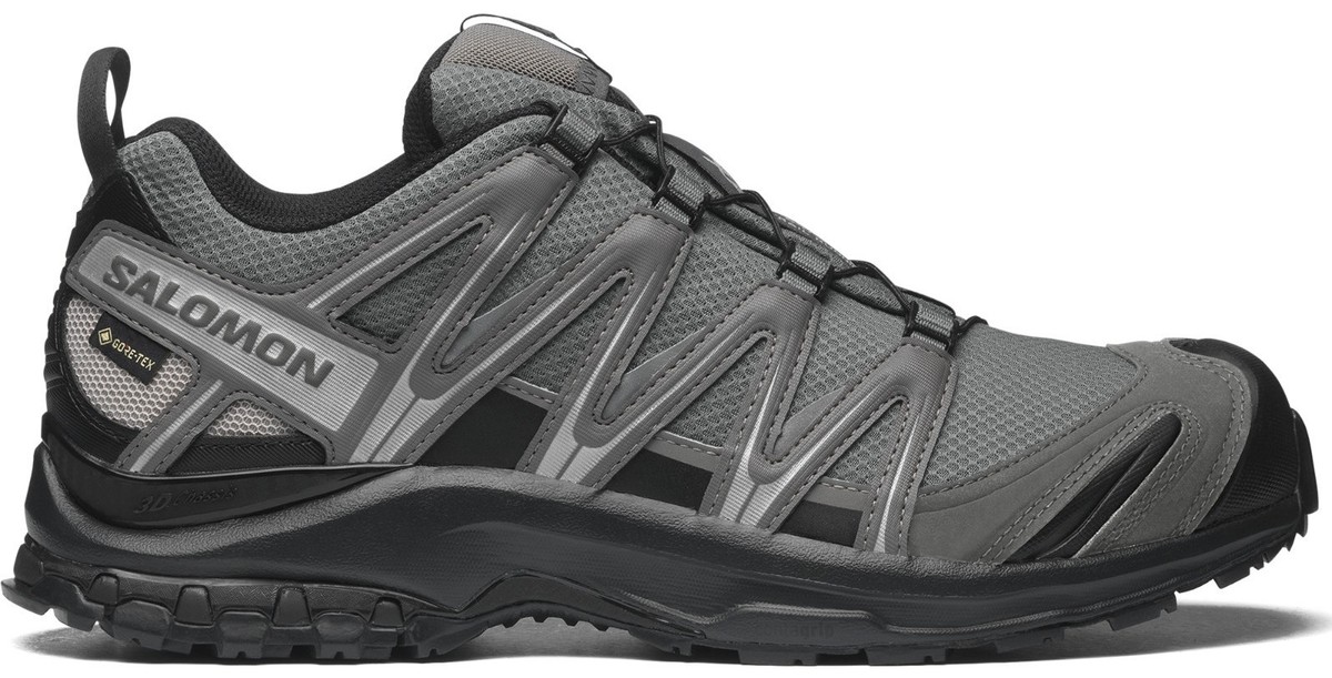Salomon XA Pro 3D GORE-TEX Pewter Silver Cloud for sale | eBay