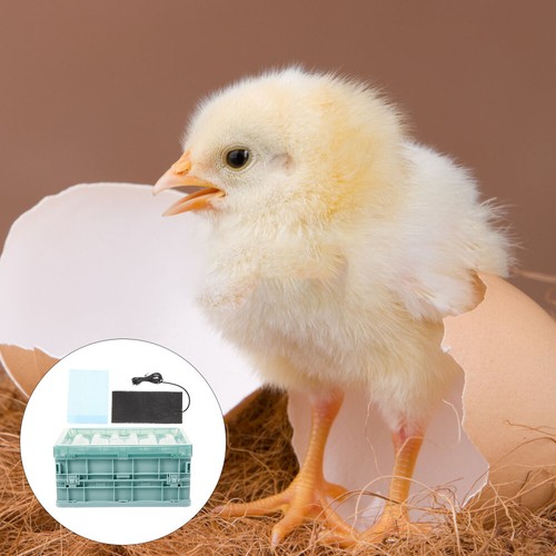 Incubator Chicks Incubators for Parrots Reusable Bird Egg Heating Pad - Picture 11 of 12