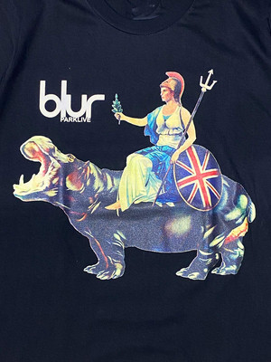 Blur Band Album Collection Cotton Tee Gift For Fan Unisex S to 5XL T-shirt
