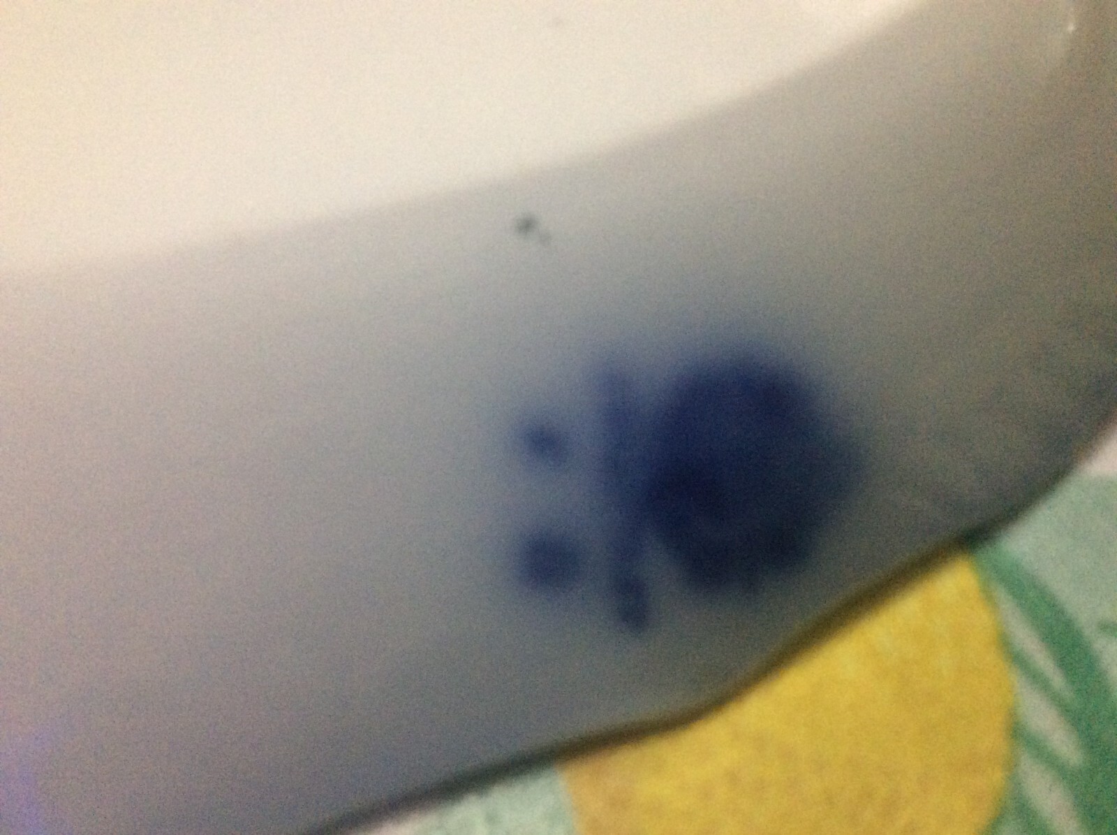 Picture 6 of 9