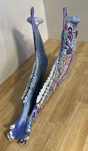 Custom Painted Large WILD Horse Skull With Bottom Jaw 24" From BC Artist - Picture 3 of 9