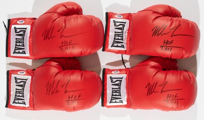 EVERLAST × BEDWIN ボクシンググローブ TYSON ヒョウ柄 25N0106040006