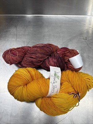 Dragonfly Fibers  Dragon Sock  Merino Yarn Mixed Color 2 Skein Lot