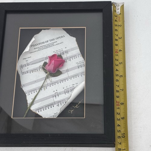 Phantom der Oper Shadow Box 9 x 10,5" - Bild 4 von 8