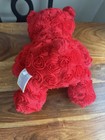 Build A Bear Roses Bear With Shirt — photo 5
