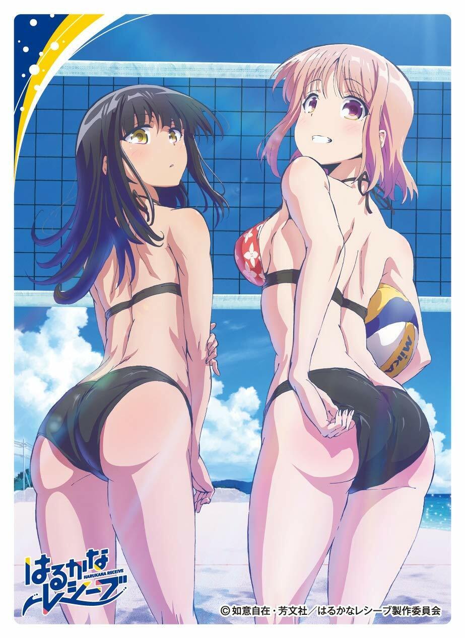 Character Sleeve Harukana Receive Naruaya Pair EN-685